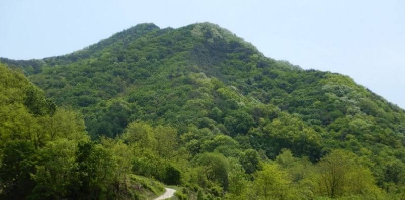 Oksan_Mo_Image1